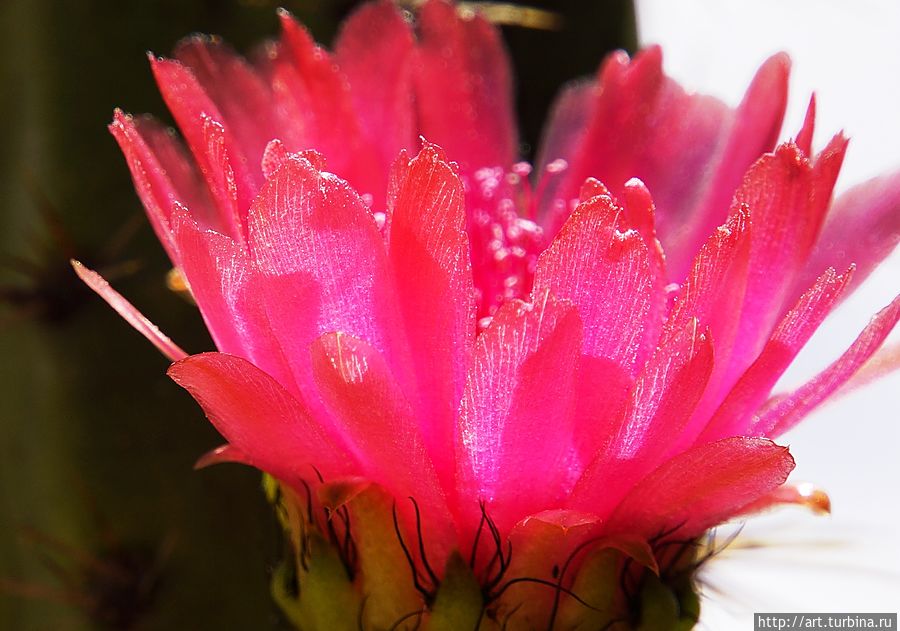 Всем друзьям привет. Вернусь в конце марта. Всем друзьям привет. Вернусь в конце марта.