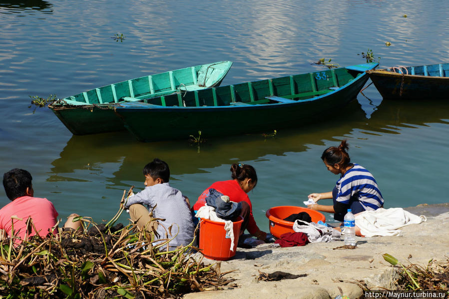 Жители,   живущие   вдоль   берега,   стирают   только  в  озере,   здесь  же   и  моются. Покхара, Непал