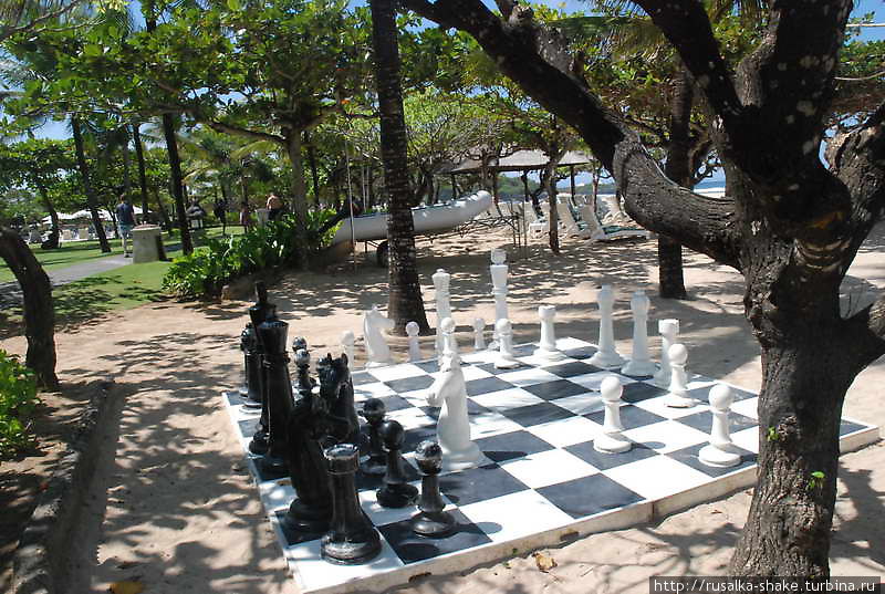 Шахматы на Бали