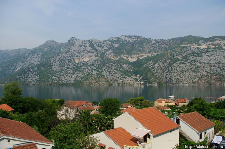 Черногория, Рисан: из жизни отдыхающих Рисан, Черногория