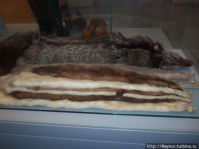 Сахалинское золото. Сахалинское золото.