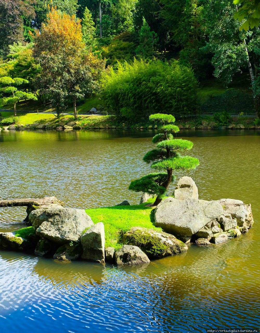 Японский сад в сетях луарской неги Молеврие, Франция