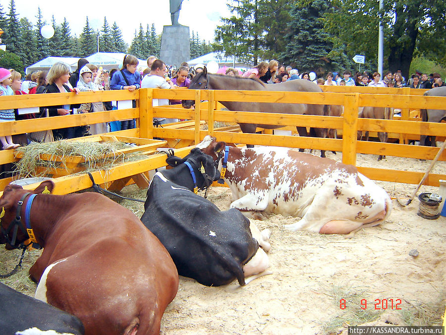 Сентябрьфест по-уфимски Уфа, Россия Сентябрьфест по-уфимски Уфа, Россия