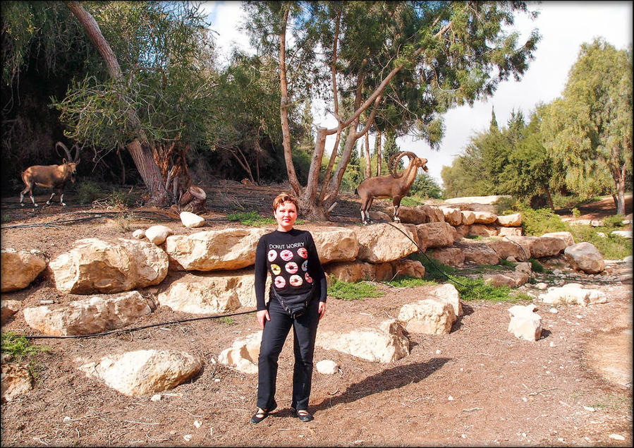 Национальный парк Могила Бен-Гуриона Ерухам, Израиль