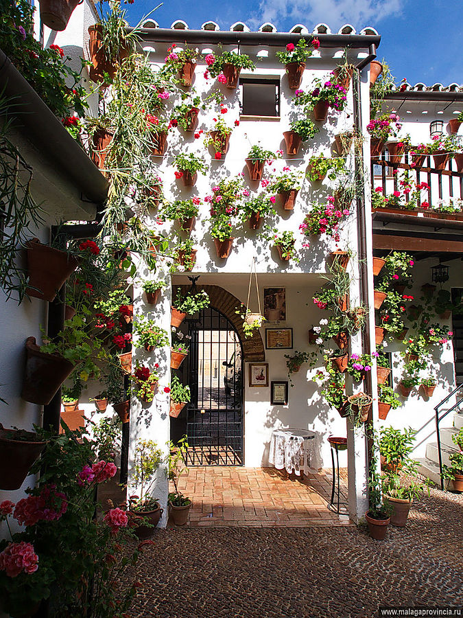 Знаменитые внутренние дворики Кордобы. Patios de Córdoba Кордова, Испания