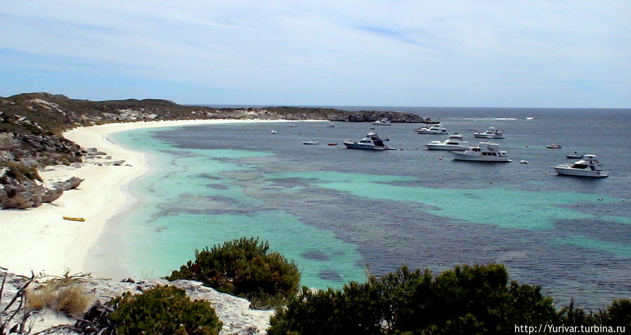 Воды северной части острова любят дайвингисты Остров Роттнест, Австралия