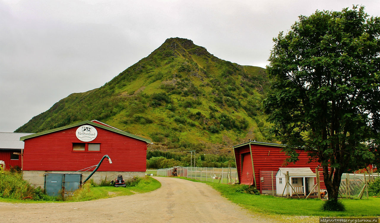 Ферма Нурдан Острова Лофотен, Норвегия