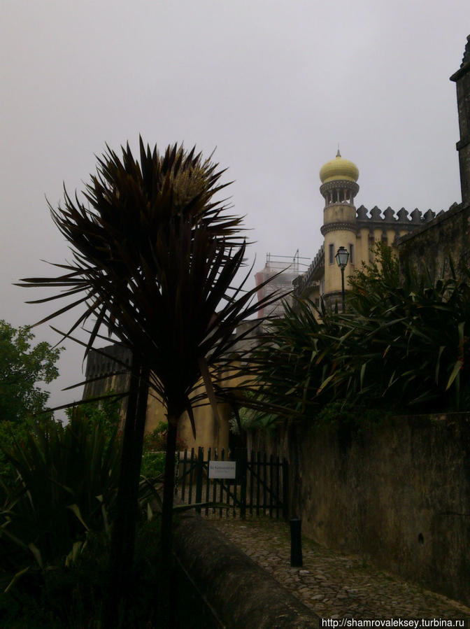 Синтра. Дворец Пена. Словно ёжик в тумане Синтра, Португалия