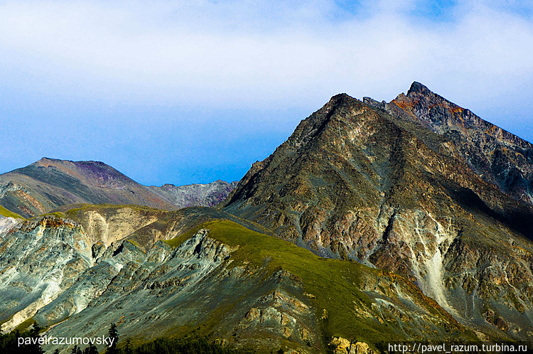 Алтай — Золотые Горы! Алтай — Золотые Горы!