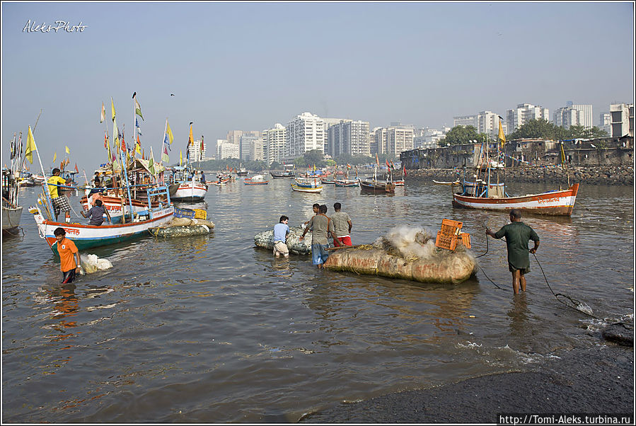 Справа вдалеке виднеются красивые современные здания, в которых живут богатые индийцы, гуляющие по вечерам по Марин-драйв и любующиеся закатом. Мумбаи — город контрастов. Здесь всюду хижины соседствуют с красивыми домами...
* Справа вдалеке виднеются красивые современные здания, в которых живут богатые индийцы, гуляющие по вечерам по Марин-драйв и любующиеся закатом. Мумбаи — город контрастов. Здесь всюду хижины соседствуют с красивыми домами...
*