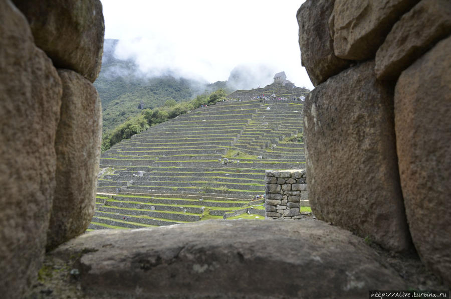 Внутри стен Мачу Пикчу Перу