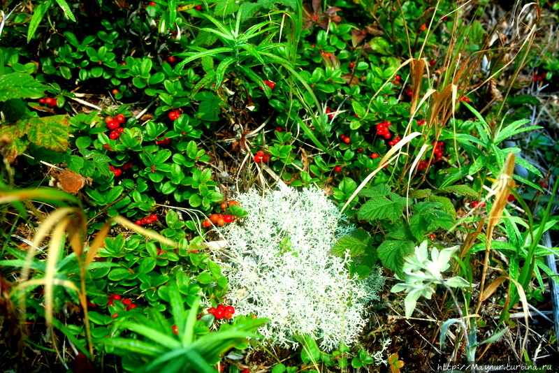 Сахалинская Ушба... Южно-Сахалинск, Россия Сахалинская Ушба... Южно-Сахалинск, Россия