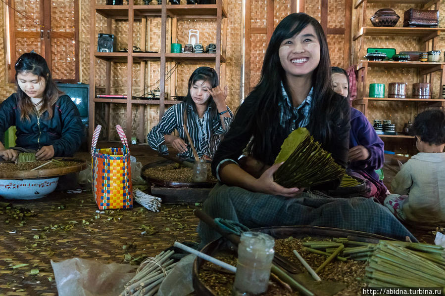 Сигарное производство на озере Инле Озеро Инле, Мьянма Сигарное производство на озере Инле Озеро Инле, Мьянма