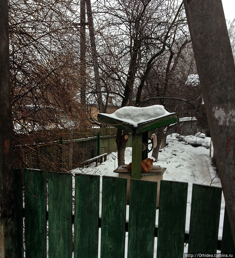 а тут делает вид что охраняет совсем не злой пес Киевская область, Украина