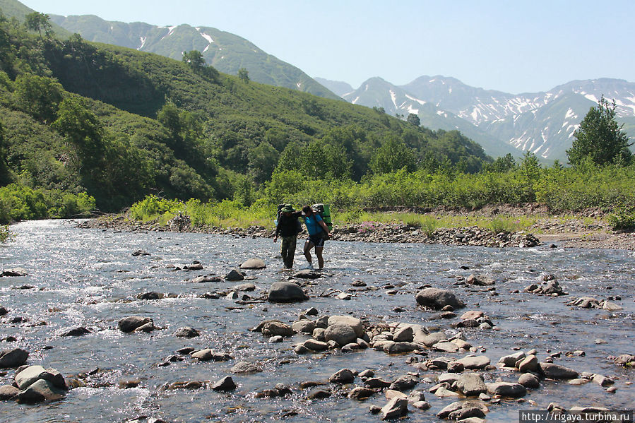 река Мутновская Камчатский край, Россия