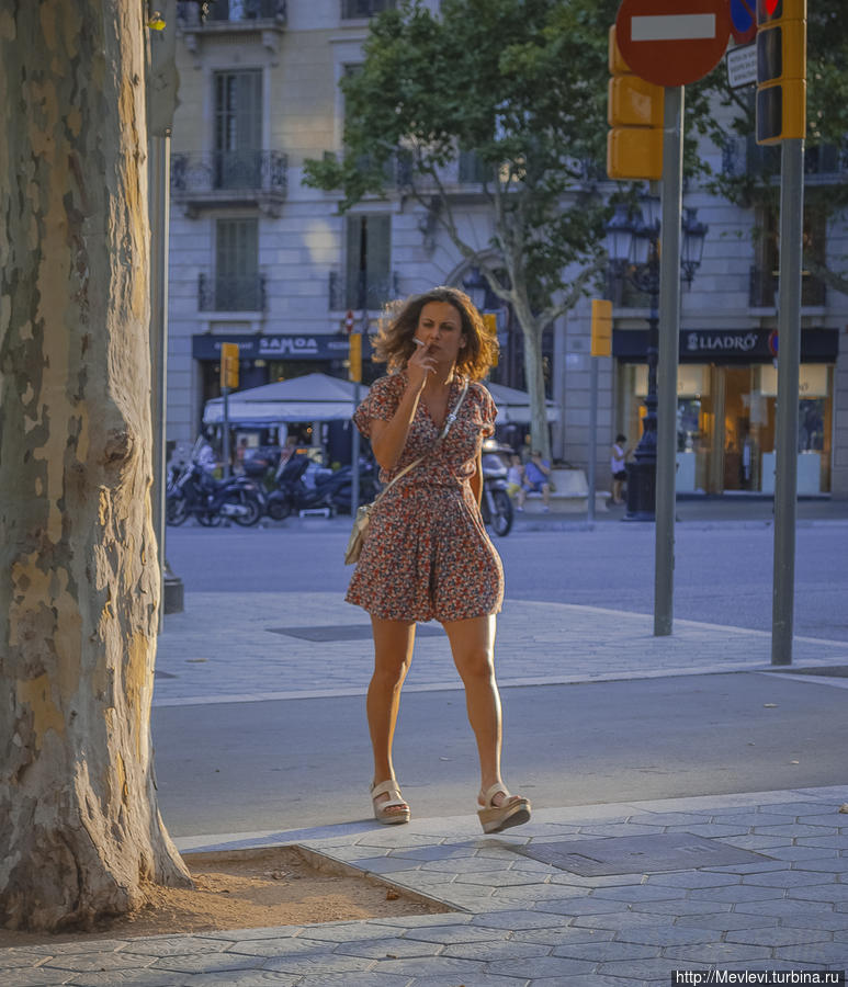 Летняя Барселона Барселона, Испания Летняя Барселона Барселона, Испания