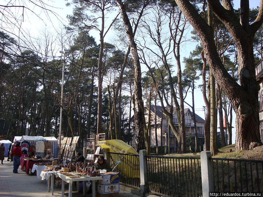 Светлогорск Светлогорск