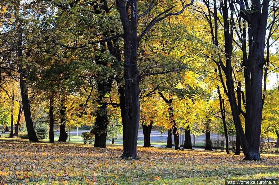 Осенью даже кладбищенский парк прекрасен :) Таллин, Эстония