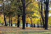 Осенью даже кладбищенский парк прекрасен :)