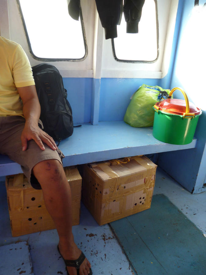 Край орущих петухов. На лодке из Бусуанги в Палаван