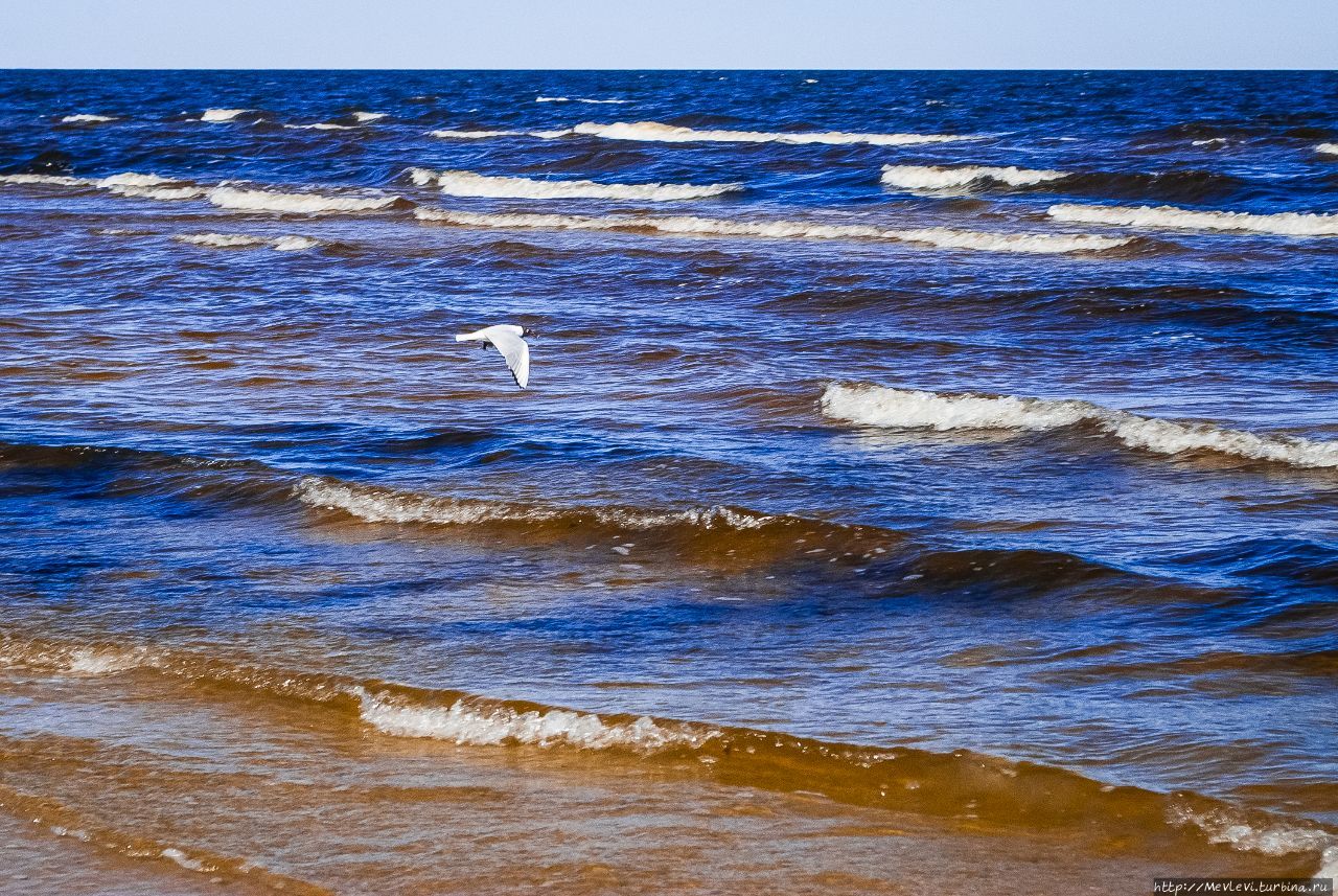 Апрель. Юрмала. Рижский залив Юрмала, Латвия