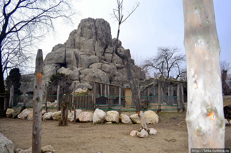 В будапештском зоопарке зимой Будапешт, Венгрия В будапештском зоопарке зимой Будапешт, Венгрия