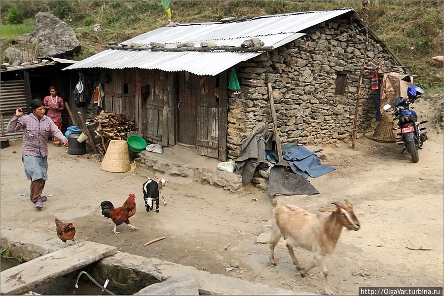 Домик на обочине Дунче, Непал
