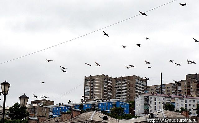 Холмск — город моряков, город рыбаков Холмск, Россия Холмск — город моряков, город рыбаков Холмск, Россия