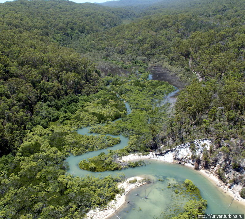 Таких речушек на острове — десятки Остров Фрейзер, Австралия