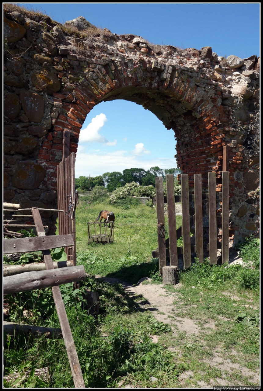 Шаакен — живописные руины орденского замка Калининградская область, Россия