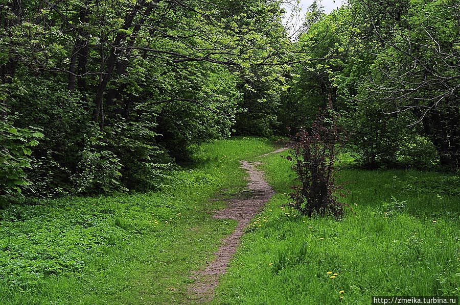 Примерно так выглядят там прогулочные тропинки, но есть и более широкие и ровные. Примерно так выглядят там прогулочные тропинки, но есть и более широкие и ровные.