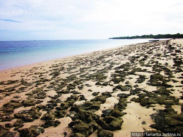 Затерянные берега, там остров, похожий на каплю Мтвара, Танзания