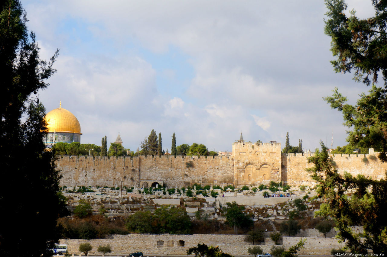 Вид на Старый город с территории монастыря. Иерусалим, Израиль