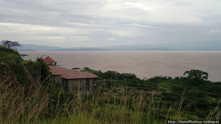 Озеро Лангано Шашамане, Эфиопия