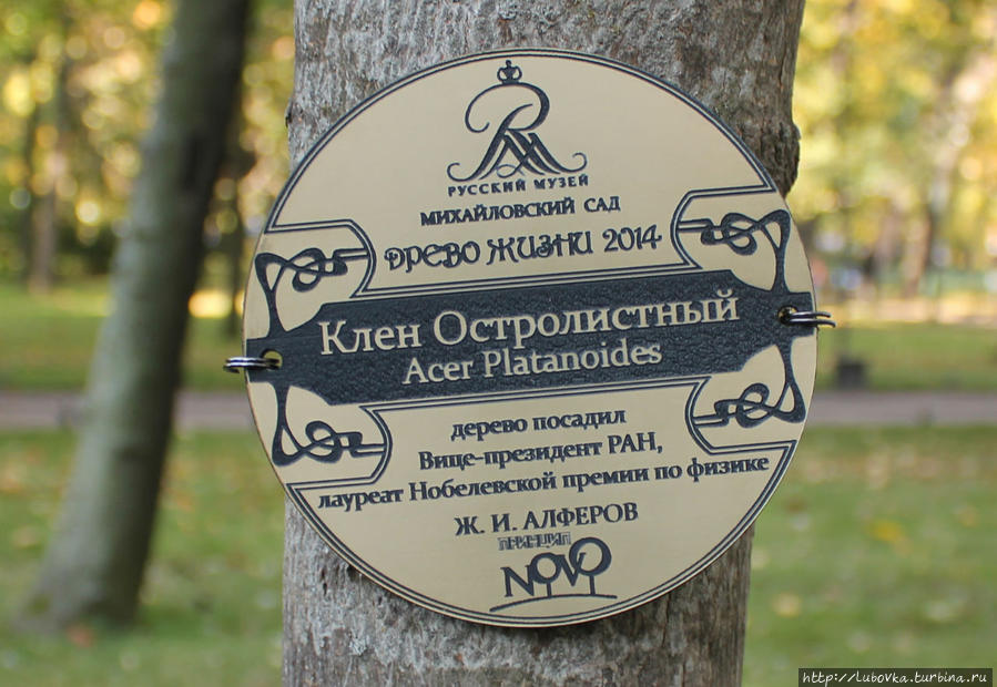 Памятники Живой природы Петербурга Санкт-Петербург, Россия