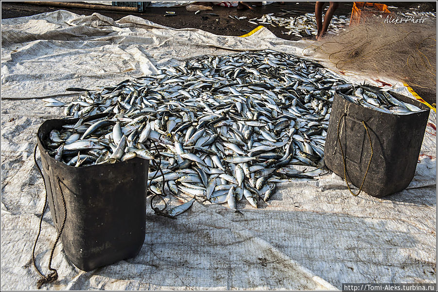 Сортировка...
* Сортировка...
*