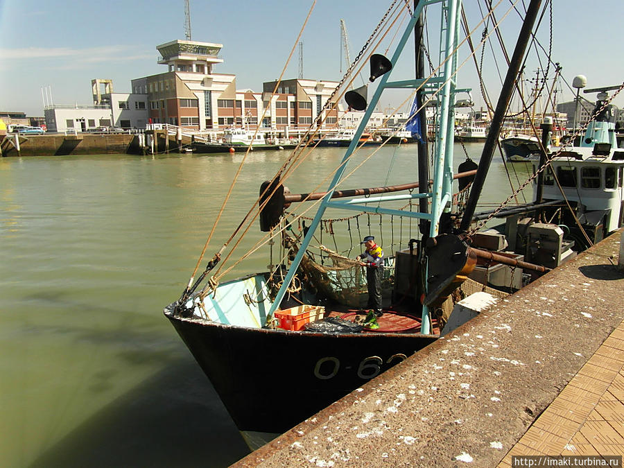 Рыбак чинит сети Остенде, Бельгия