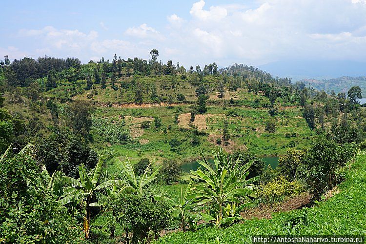 Кибуйе Кибюи, Руанда