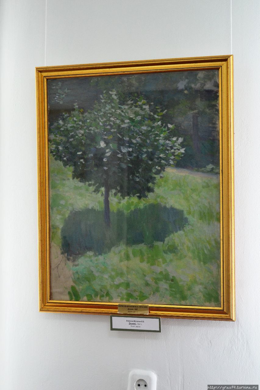 Дерево (1897) Саратов, Россия