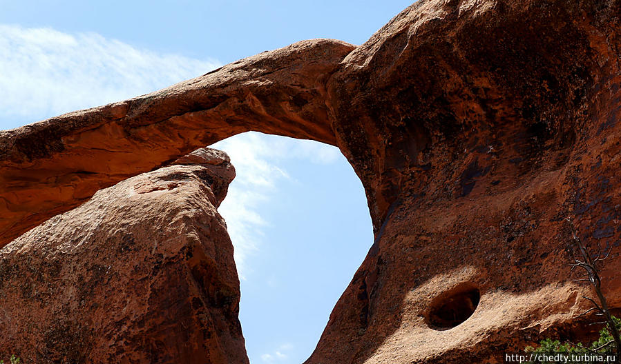 Арчес. Юта. Кусок от двойной Арки. Песчаник. Моаб, CША Арчес. Юта. Кусок от двойной Арки. Песчаник. Моаб, CША