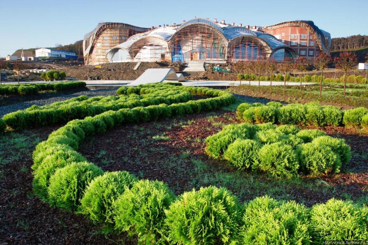 Фото из интернета
http:/ Фото из интернета
http:/