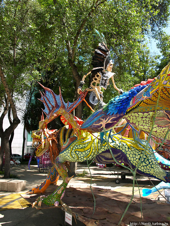 Алебрихес — найдите своего дракона (фото часть 3) Мехико, Мексика
