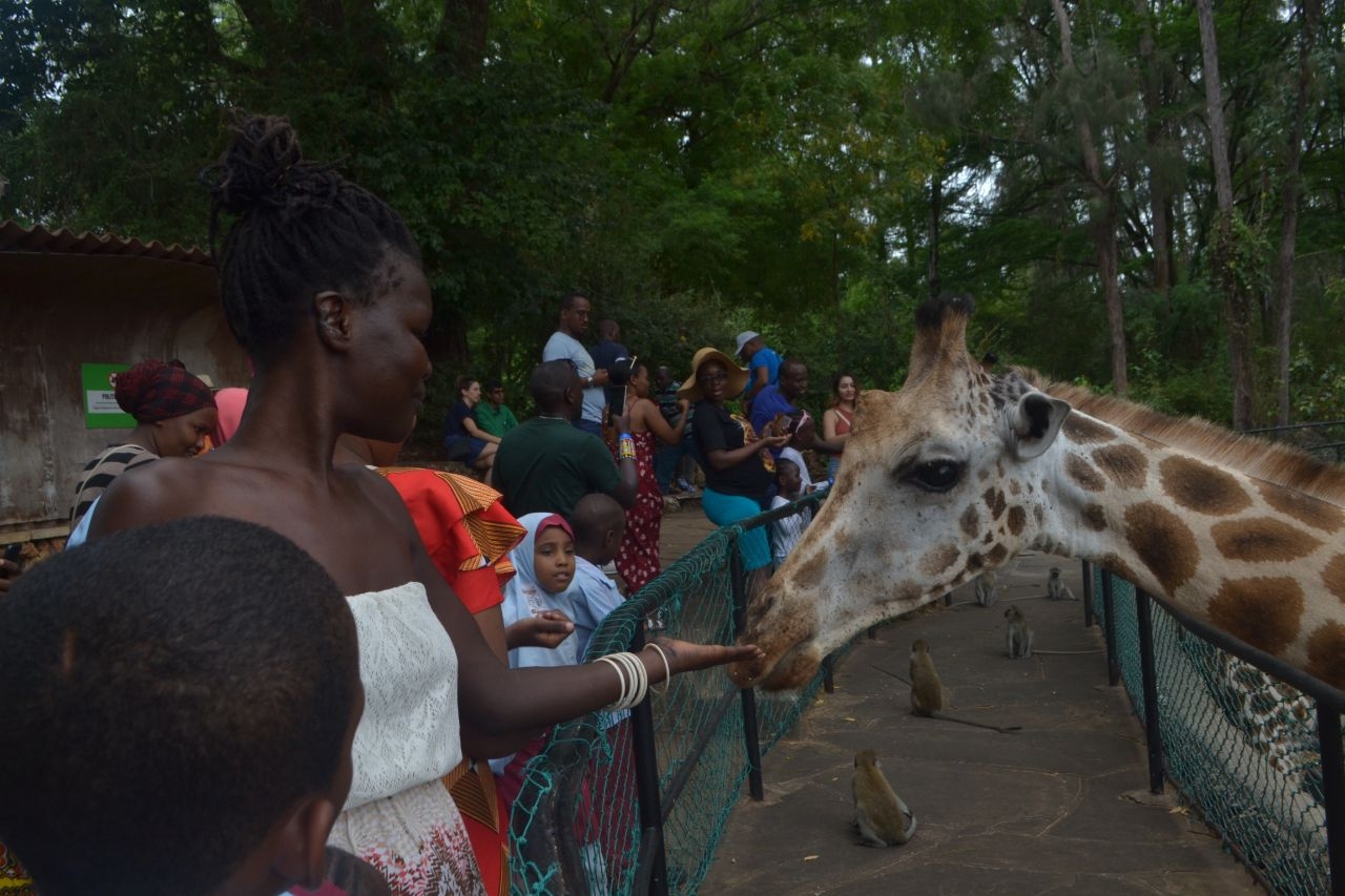 Халлер парк Момбаса, Кения