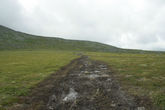 Дорога для квадрациклов и джиперов по вершине хребта от перевала Дятлова до плато Маньпупунер