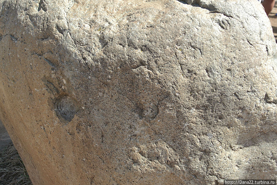 Следы ведьминых метл))) Следы ведьминых метл)))