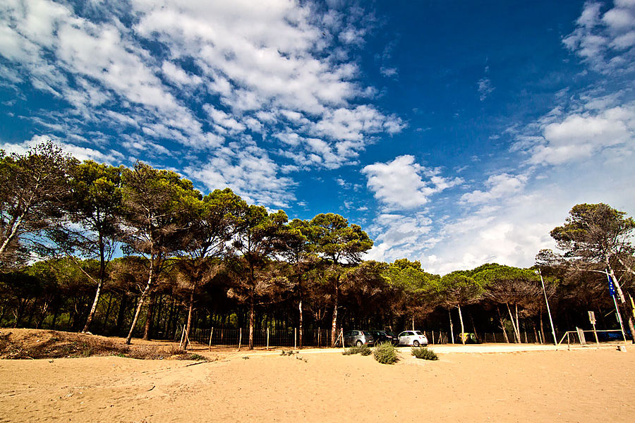 Отличительной особенностью этого пляжа является близость к лесу, что добавляет свежести и уюта Сицилия, Италия