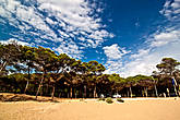 Отличительной особенностью этого пляжа является близость к лесу, что добавляет свежести и уюта