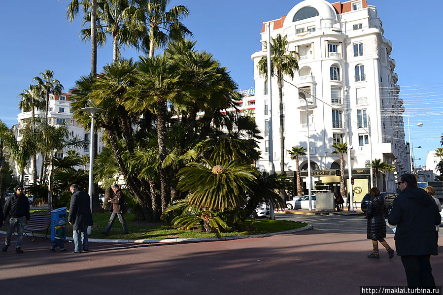 Легко ли стать знаменитым Канны, Франция Легко ли стать знаменитым Канны, Франция