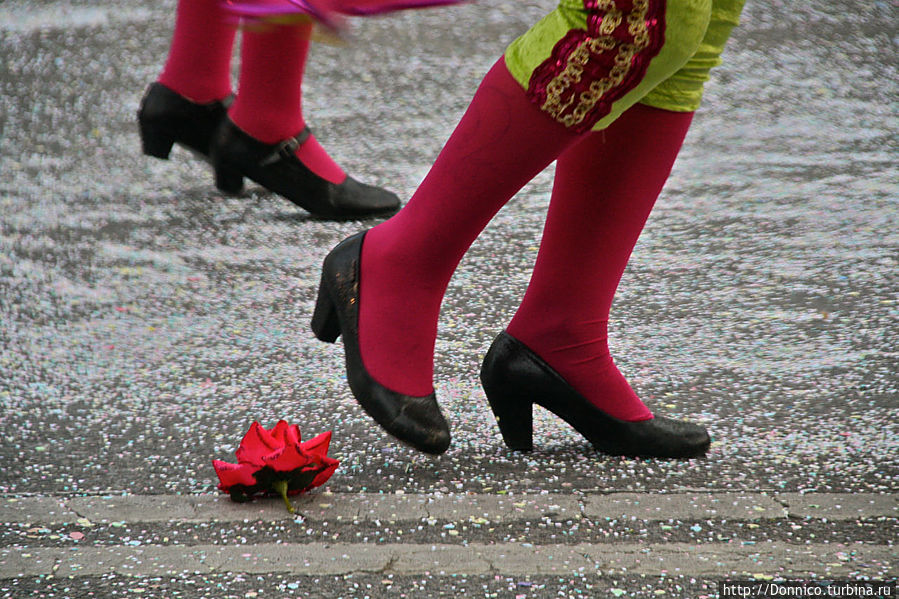 зато одна из испанок обронила вот такую красную розочку зато одна из испанок обронила вот такую красную розочку