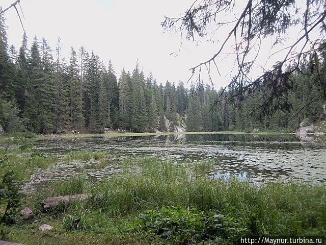 Озеро Змеиное.Расположено в глухом лесу.Берега завалены упавшими деревьями.Место закрытое, темное. Жабляк, Черногория